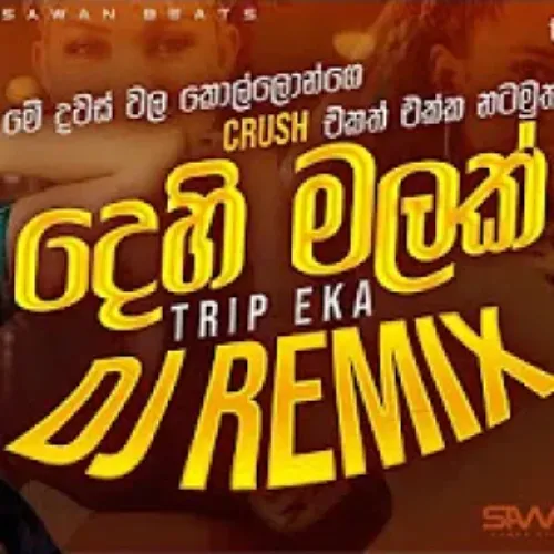 Dehi Malak (Trip Eka) Mashup Remix