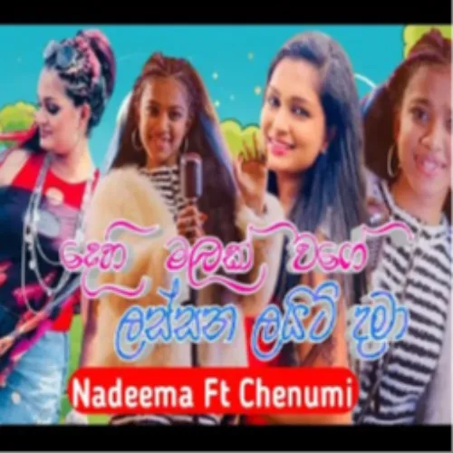 Dehi Malak Wage &Trip Eka Pandarin Mashup Cover