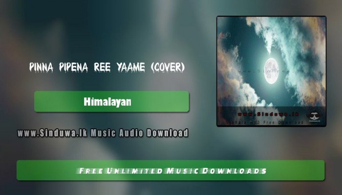 Pinna Pipena Ree Yaame (Cover)